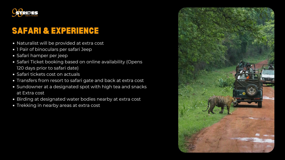 Safari and Experience
