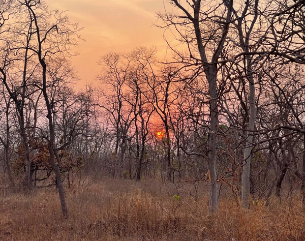 Sunrise in Tadoba