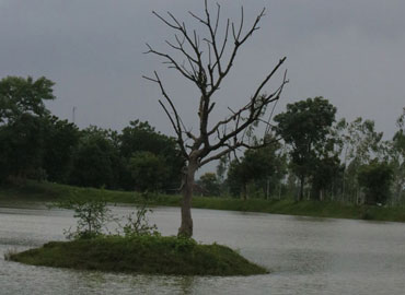 Monsoon view in Tadoba forest