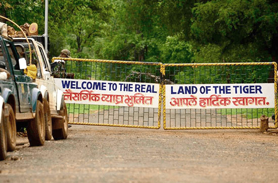 Moharli Gate at Tadoba