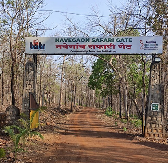 Navegaon Gate at Tadoba