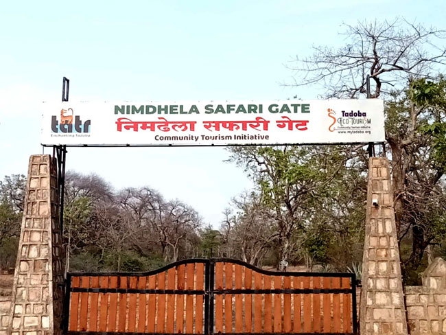 Nimdela Safari Gate Buffer
