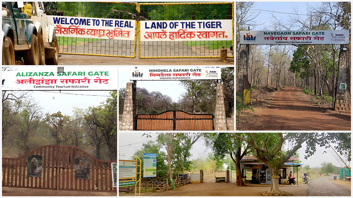 Safari Gates Overview Tadoba