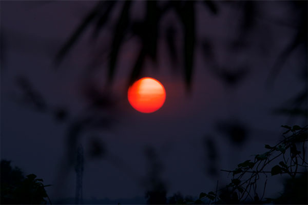 Sunset view from Tadoba