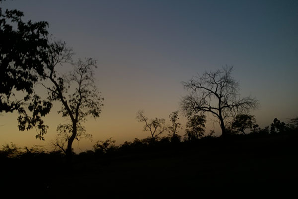 Natural Beauty of Tadoba