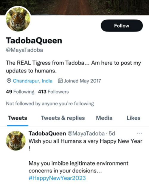 TadobaQueen - The real tigress from Tadoba