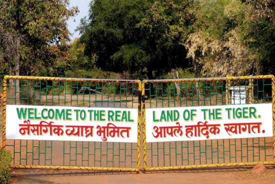 The different safari gates in Tadoba Reserve forest